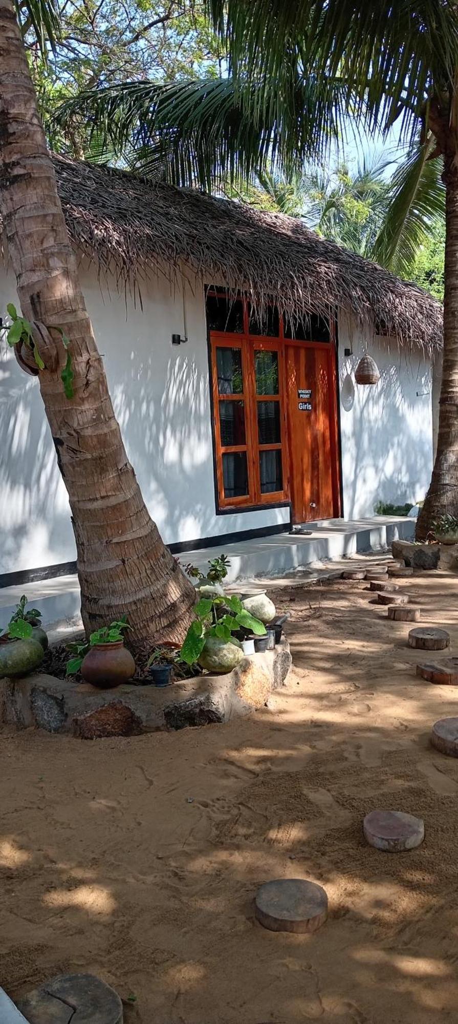 Surfing Lion Hostel Arugam Bay Exteriér fotografie