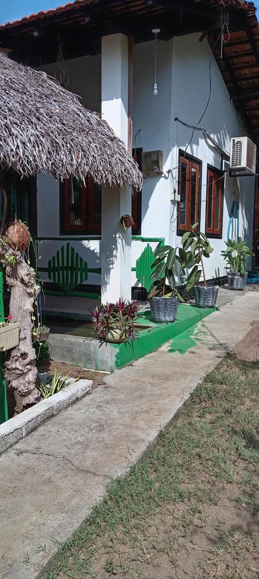 Surfing Lion Hostel Arugam Bay Exteriér fotografie