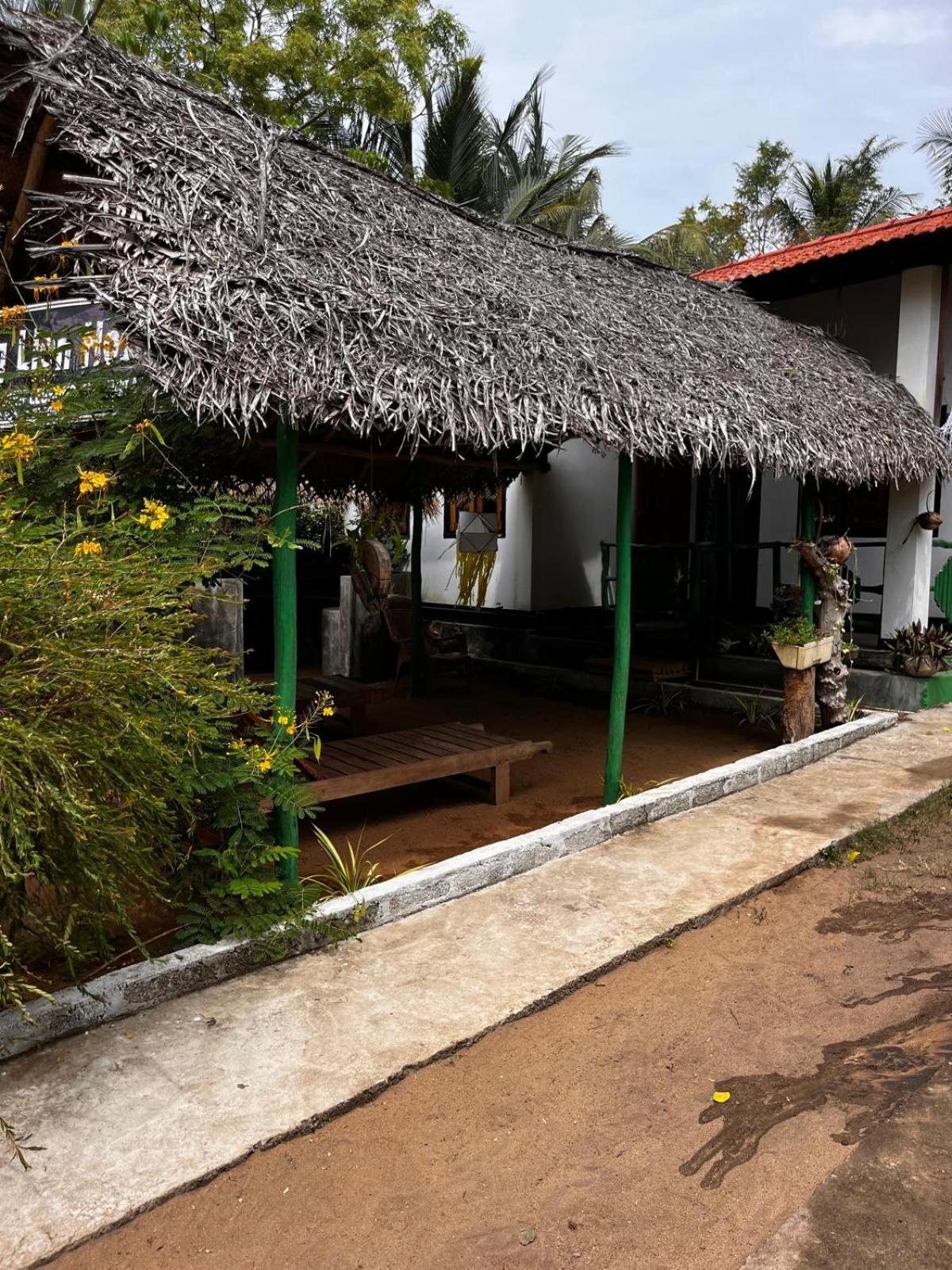 Surfing Lion Hostel Arugam Bay Exteriér fotografie