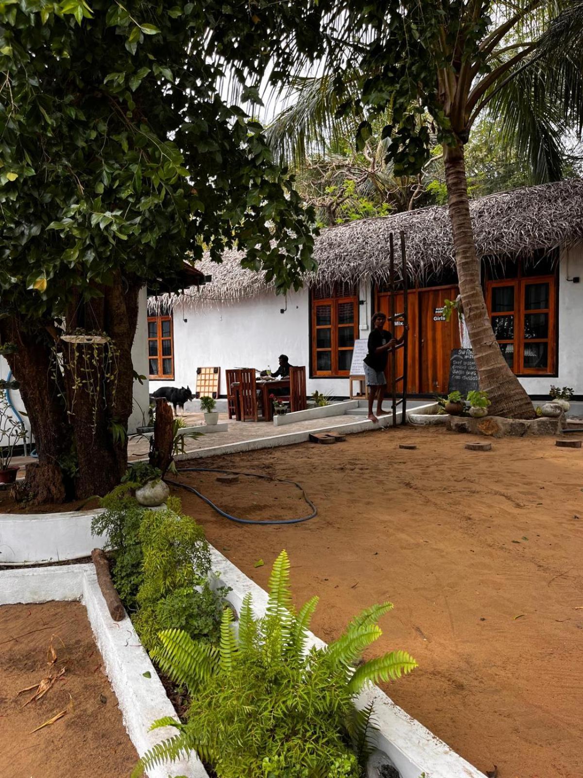Surfing Lion Hostel Arugam Bay Exteriér fotografie