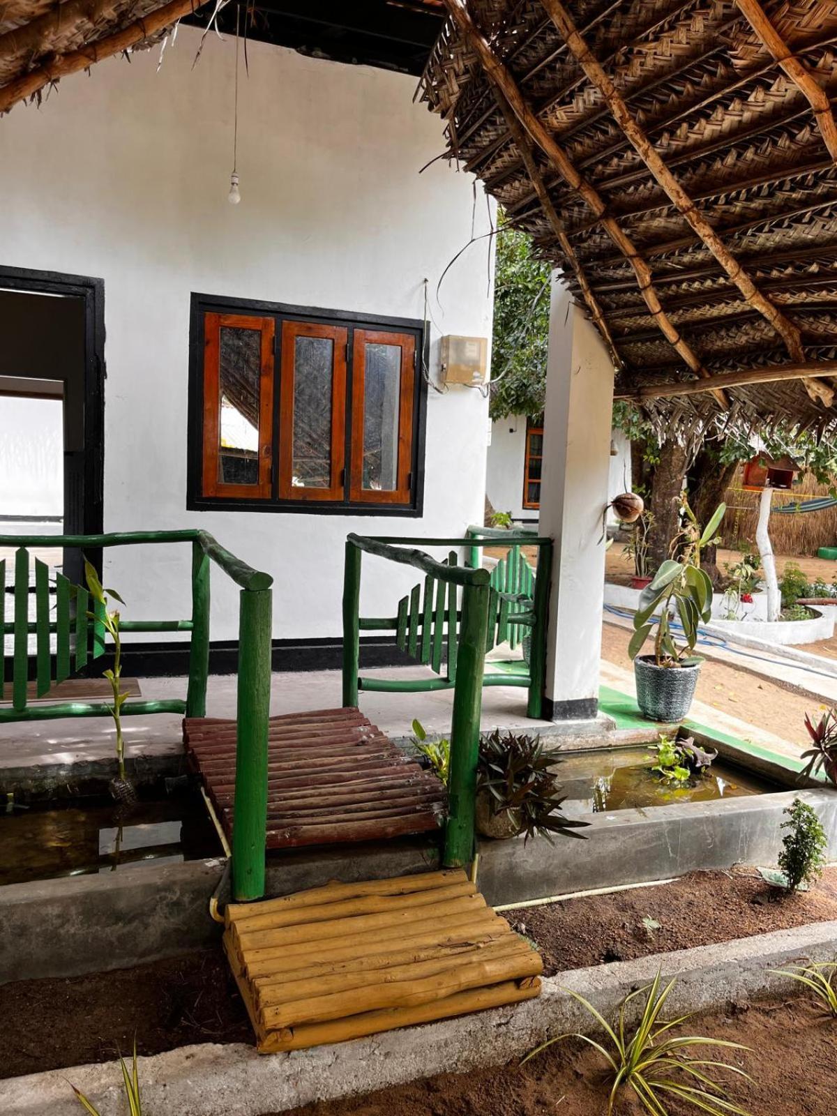 Surfing Lion Hostel Arugam Bay Exteriér fotografie