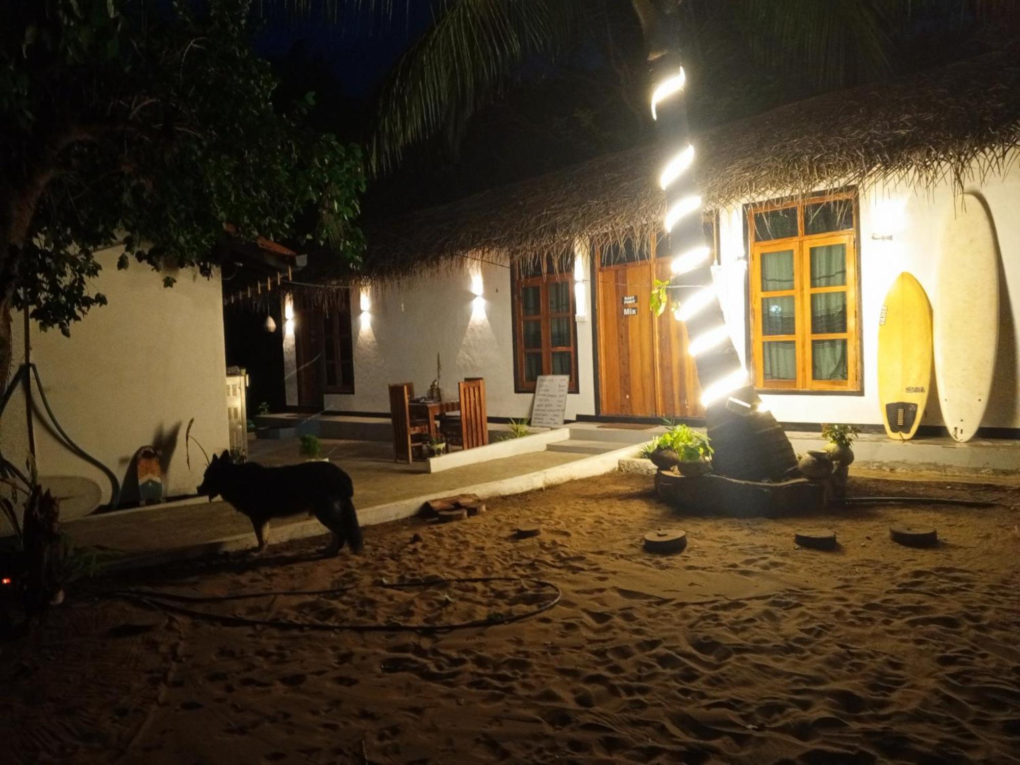 Surfing Lion Hostel Arugam Bay Exteriér fotografie