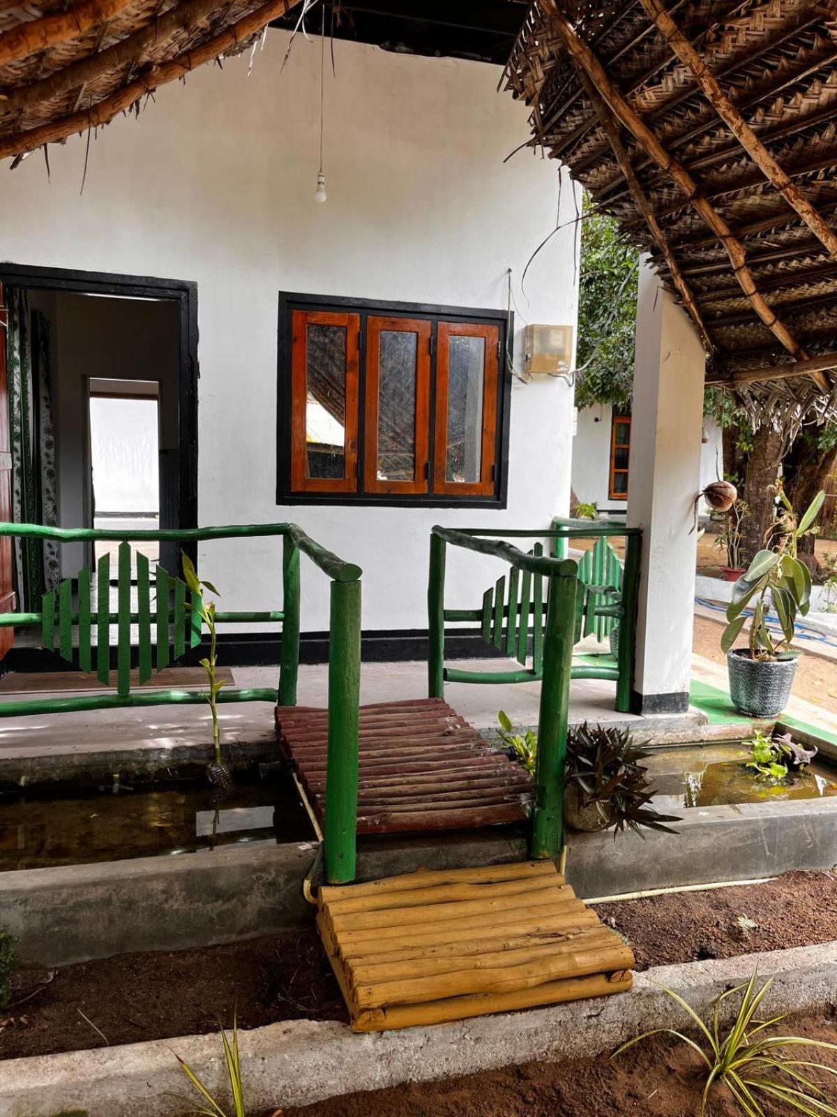 Surfing Lion Hostel Arugam Bay Exteriér fotografie